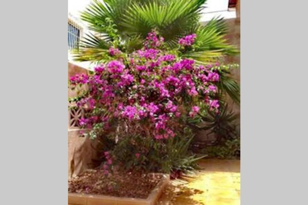 Semi-Detached Villa Sea Views, Huge Terrace, Close Beach بالم مار المظهر الخارجي الصورة